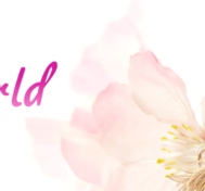 Pernilla Wahlgren´s visit 